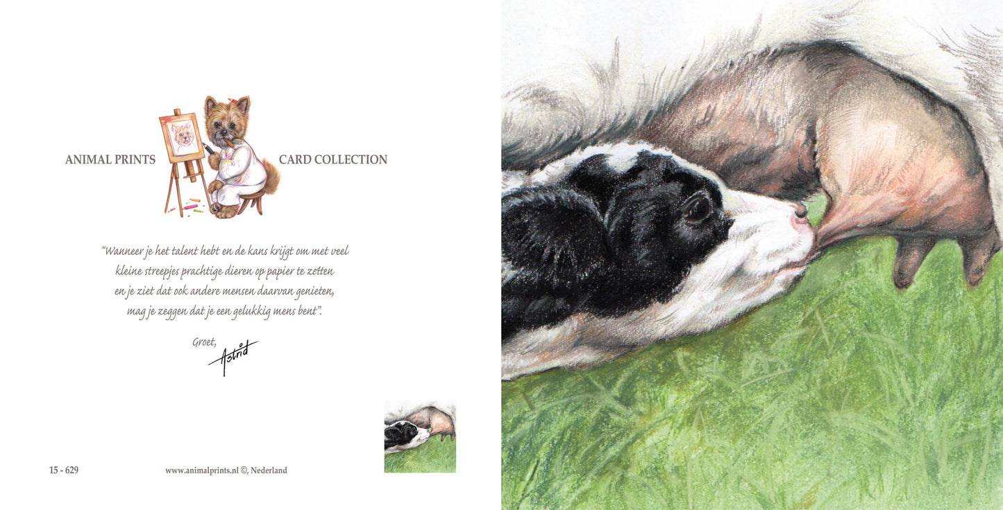 Vierkante kaart - Even bijtanken...