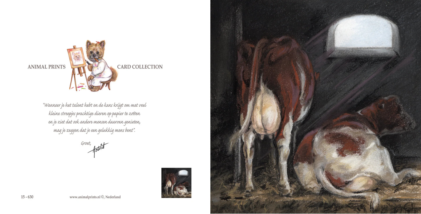 Vierkante kaart - Koeien op stal. Even bijkomen van het harde werken..