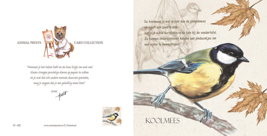 Square card - Great Tit