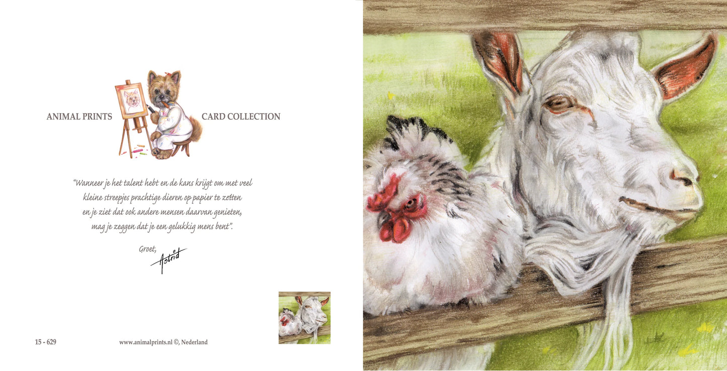 Vierkante kaart - 2 Dikke vrienden, jij en ik