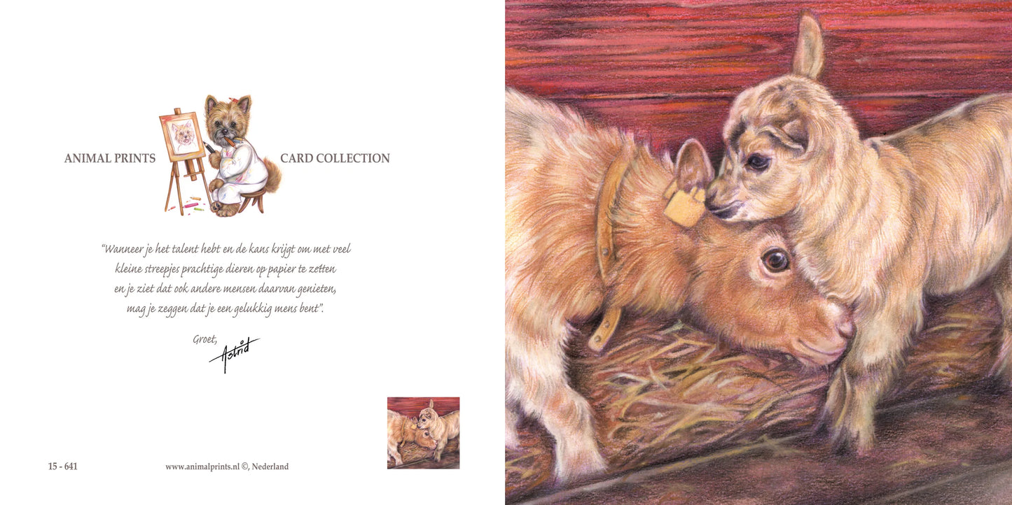 Vierkante kaart - Geit met lam - verlangen naar het voorjaar