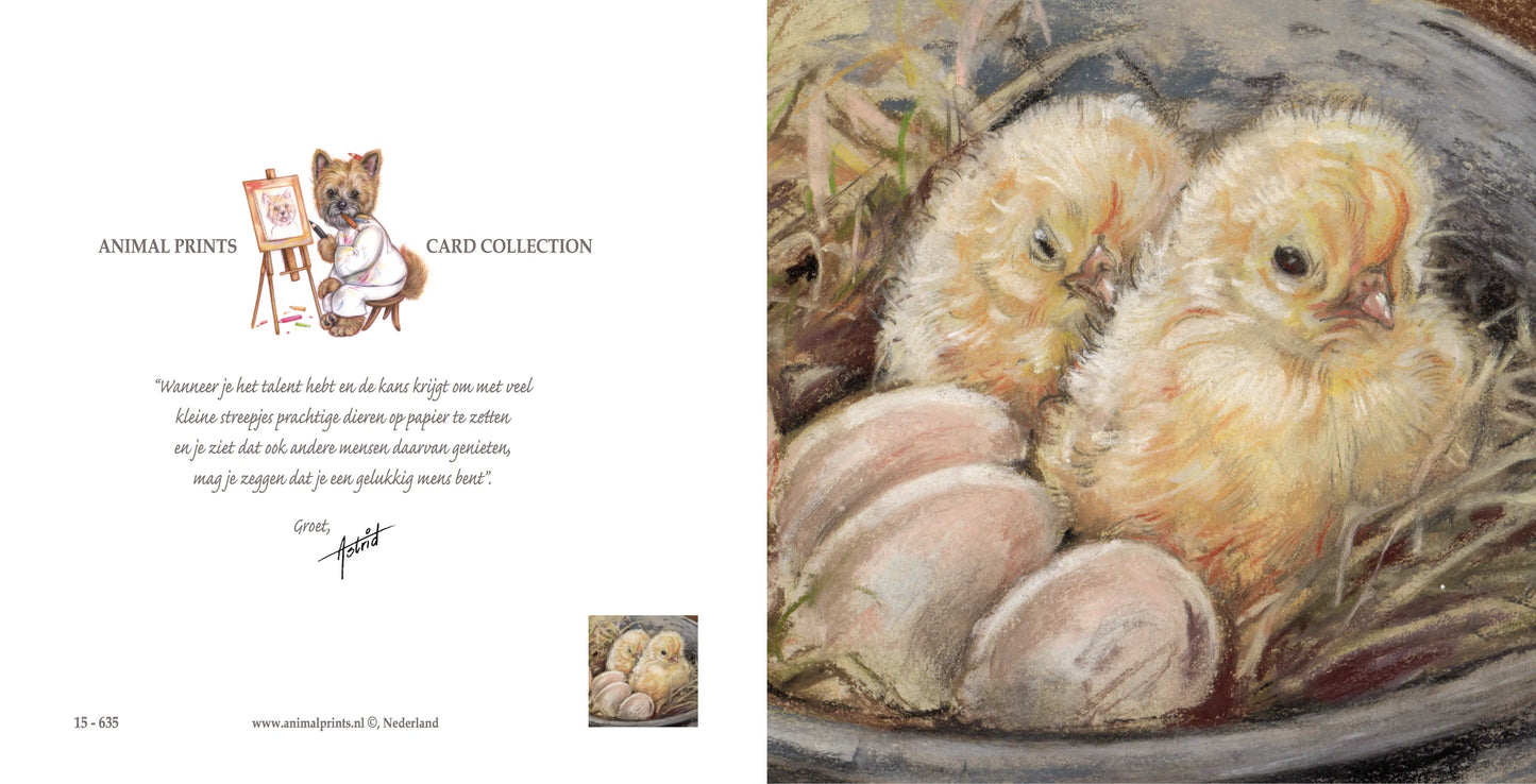 Square Card - 2 Chicks present, 3 more to go...