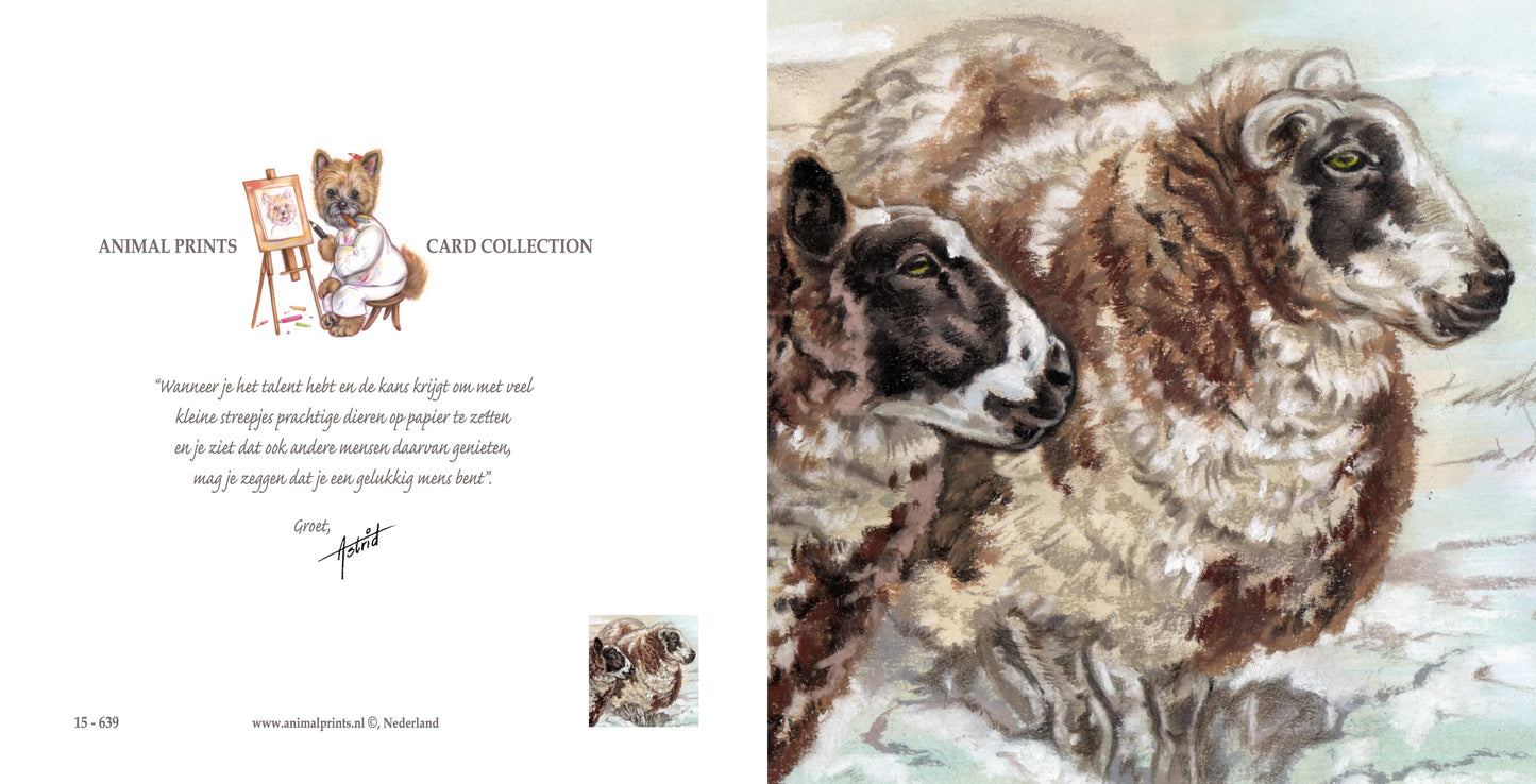 Square Card - And no one complains it's too cold...