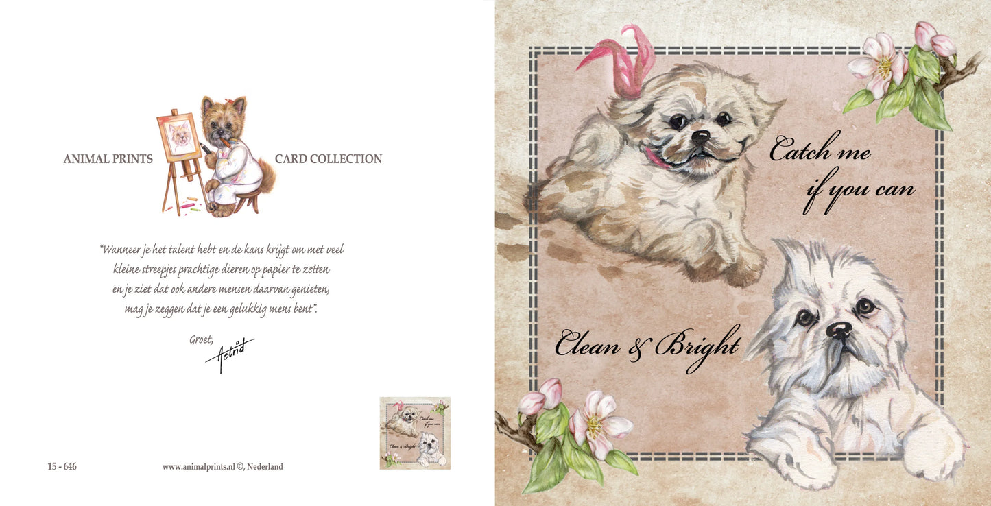 Vierkante kaart - Catch me if you can - Clean & Bright