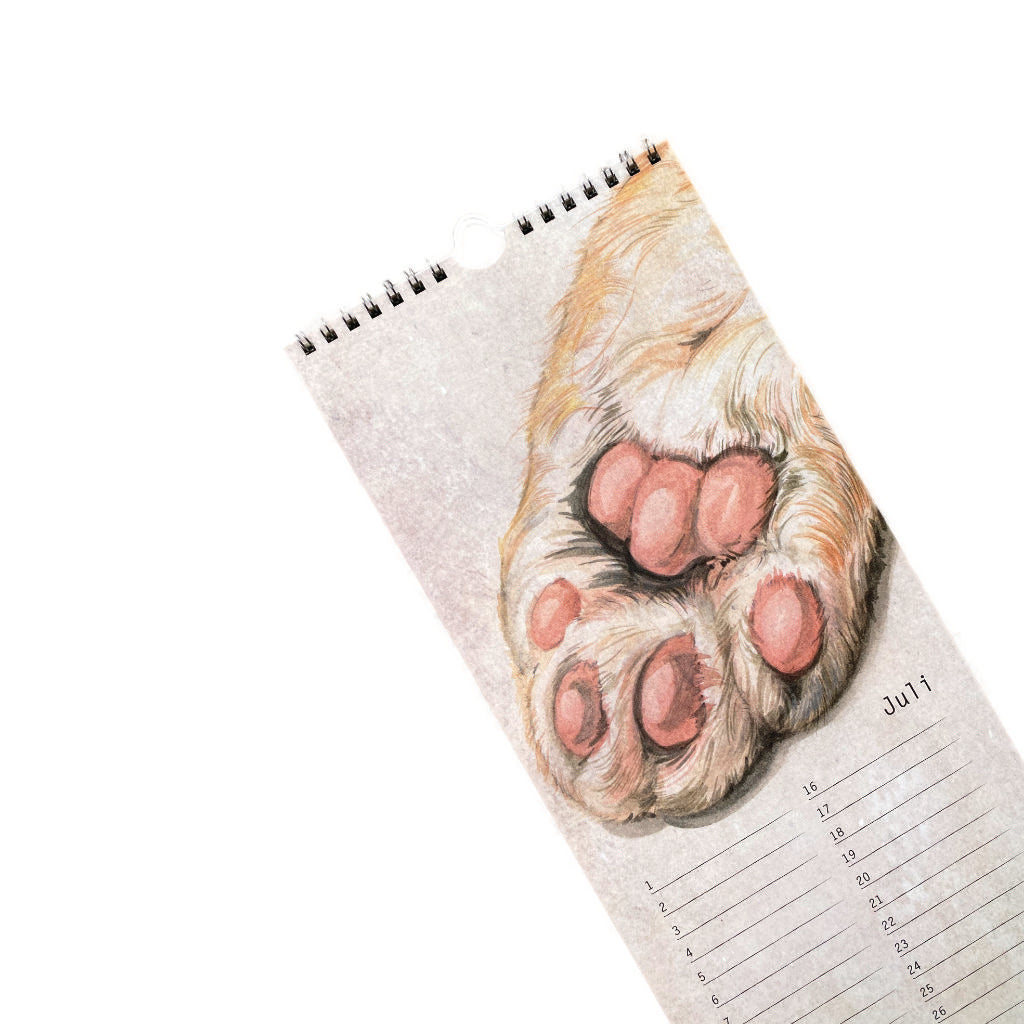 Geburtstagskalender Katze – pro 5 Stück