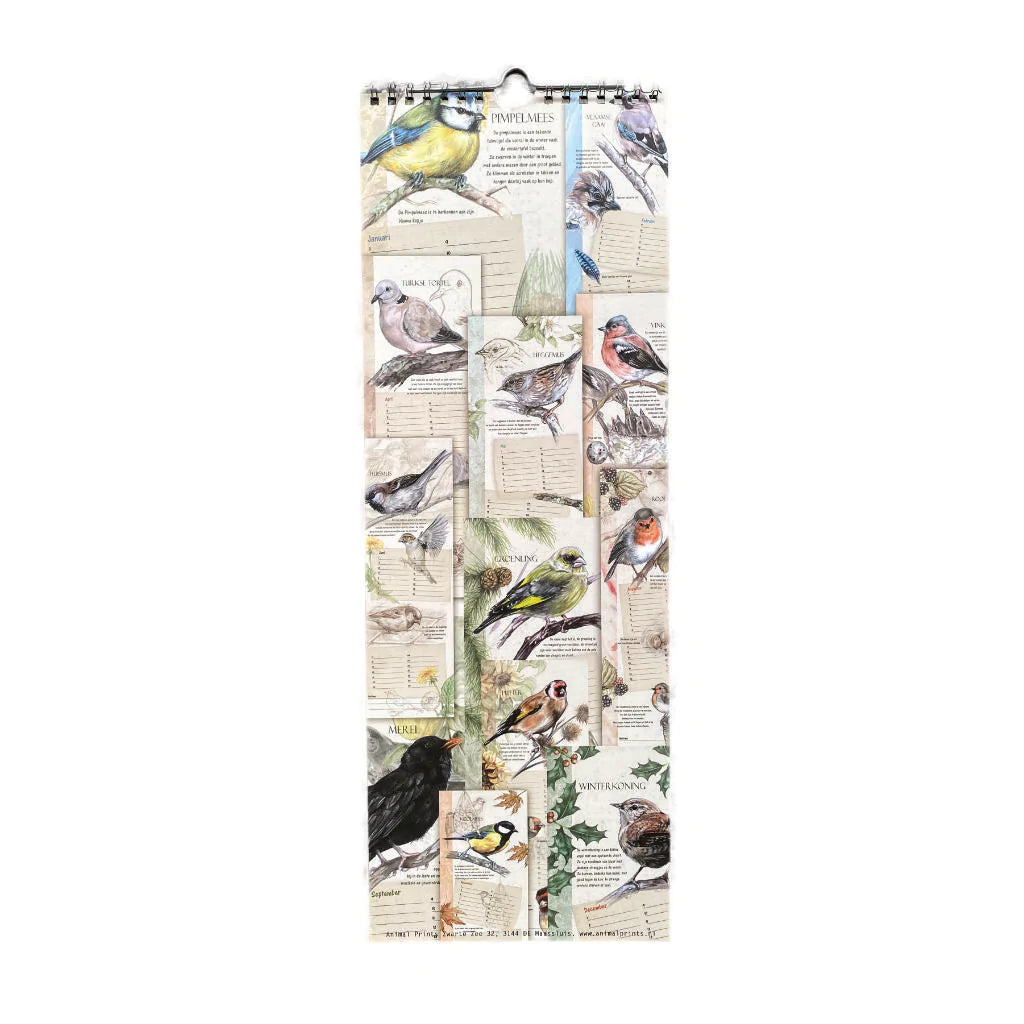 Birthday Calendar Birds - per 5 pieces