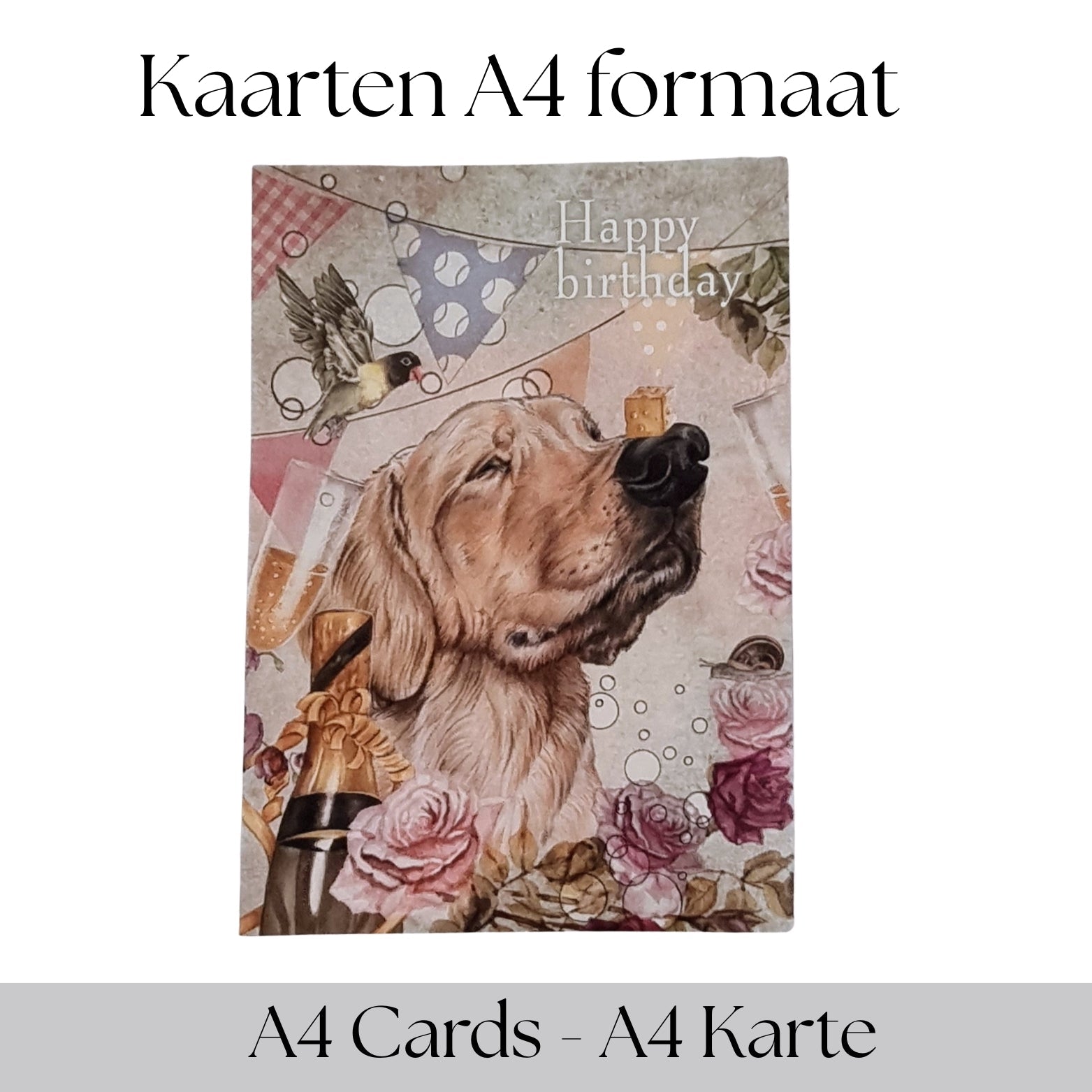 Grote kaarten - A4 formaat