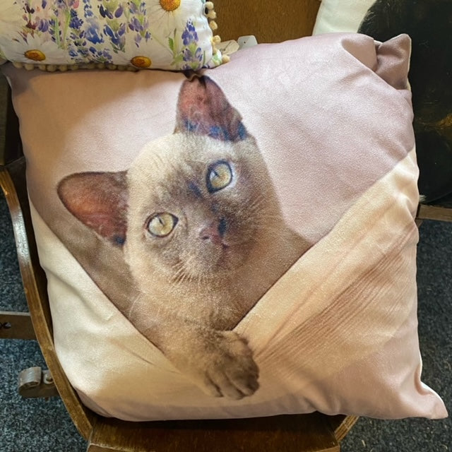 Kissen mit Katzenmotiv