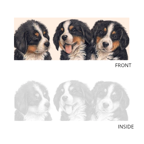 Schmale Karten – Berner Sennenhund – pro 5 Stück 