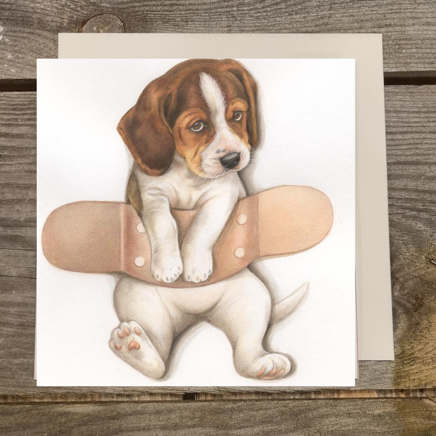 Vierkante kaart - Pleister over Beagle - Beterschap