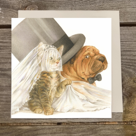 Quadratische Karte – Heirat, Cat und Sharpei gehen aufs Spiel