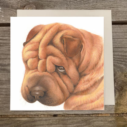 Quadratische Karte - Tut mir leid, Sharpei tut es leid