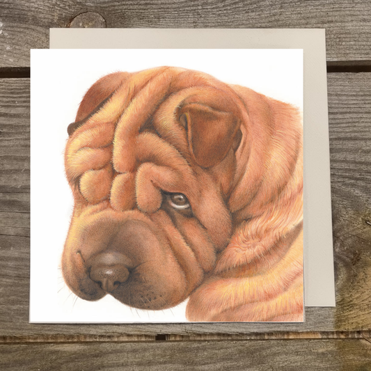 Quadratische Karte - Tut mir leid, Sharpei tut es leid