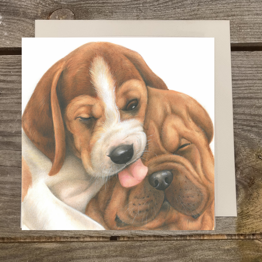 Quadratische Karte - Freundschaft, Beagle mit Sharpei