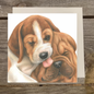 Quadratische Karte - Freundschaft, Beagle mit Sharpei