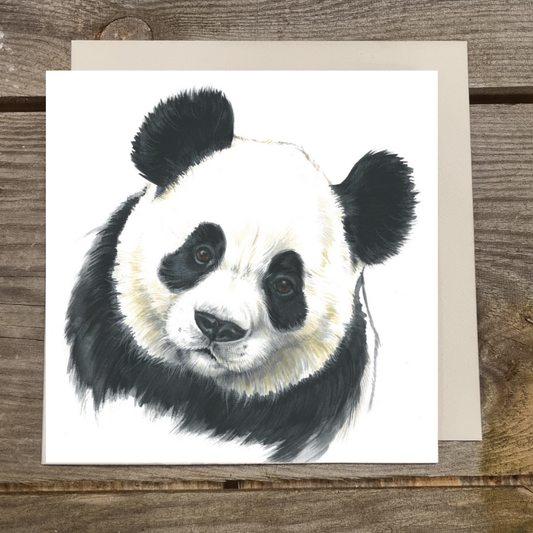 Quadratische Karte - Schau, du kannst mit diesem Panda sprechen