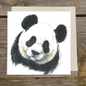 Quadratische Karte - Schau, du kannst mit diesem Panda sprechen