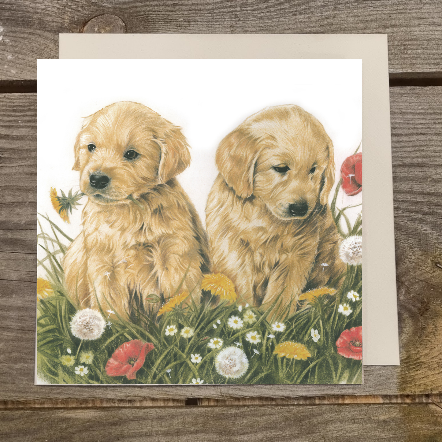 Quadratische Karte - Die Blumen draußen zusammenstellen. Golden Retriever-Welpen im Gras