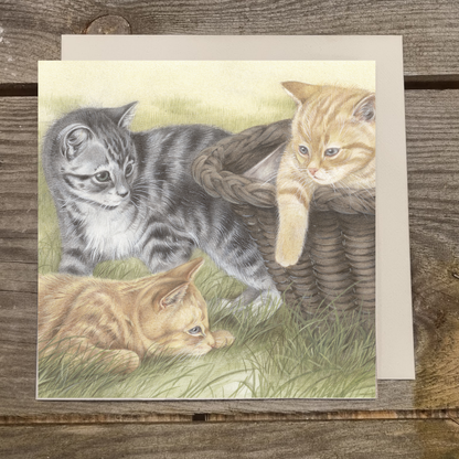 Vierkante kaart - .Altijd wel zin in een spelletje. Kittens in de buitenlucht.