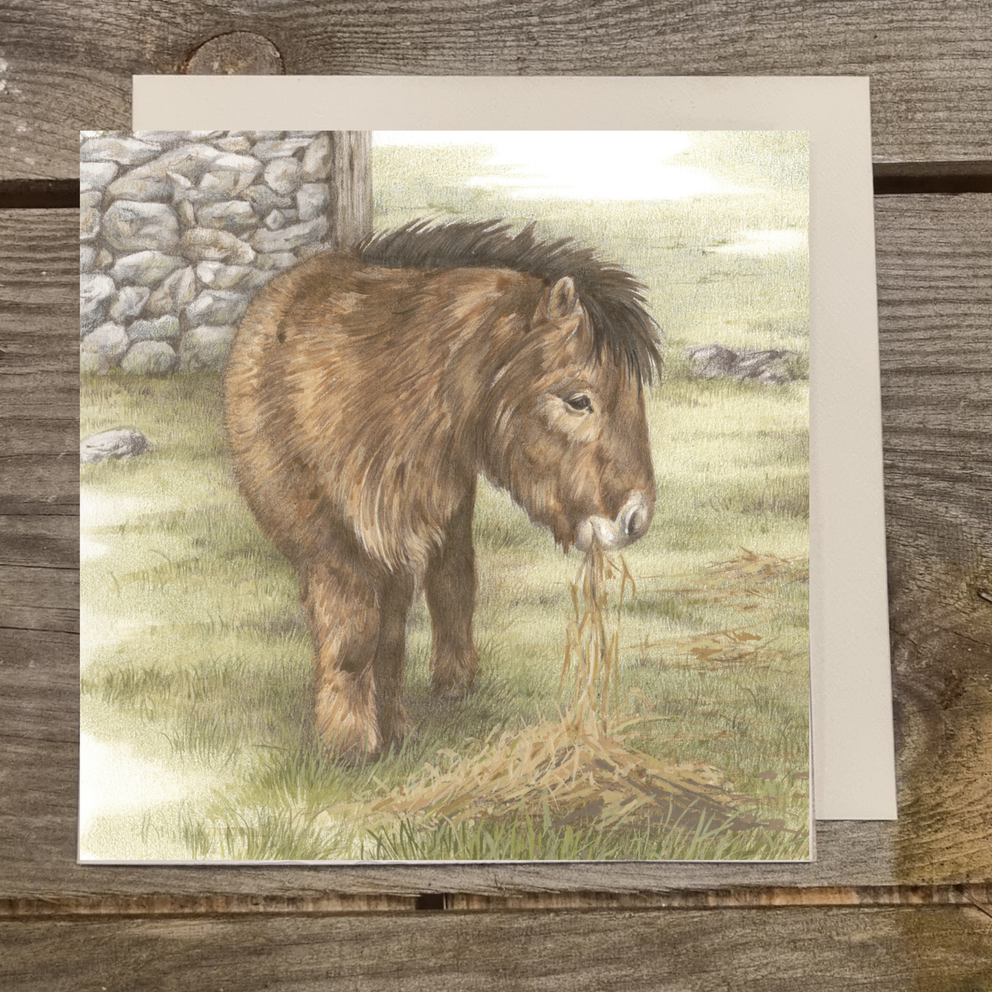Vierkante kaart - En ook eindelijk een pony. Helemaal alleen aan het eten, de Shetlandpony.
