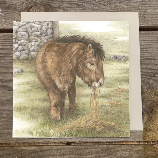Quadratische Karte - Und schließlich ein Pony. Ganz allein fressend, das Shetlandpony.