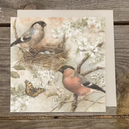 Vierkante kaart - Een prachtige tekening, in vogelvlucht