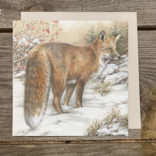 Quadratische Karte - Fuchs im Schnee