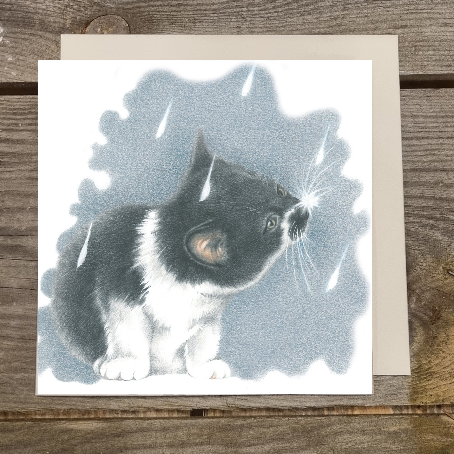 Vierkante kaart -  It's Raining Cat's - Europees Korthaar