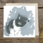 Vierkante kaart -  It's Raining Cat's - Europees Korthaar