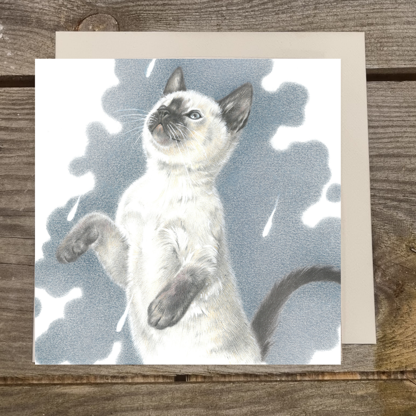 Vierkante kaart -  It's Raining Cat's - Ragdoll