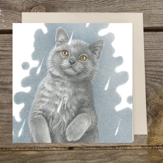 Quadratische Karte - It's Raining Cat's - Britisch Kurzhaar