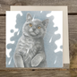 Vierkante kaart -  It's Raining Cat's - Brits Korthaar