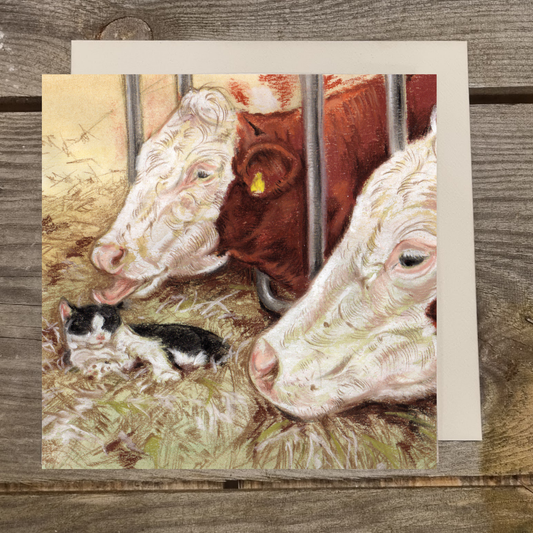 Square Card - Diese Katze hat viele Freunde