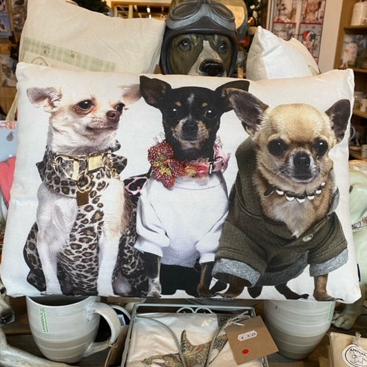 Kissen mit 3 Chihuahuas