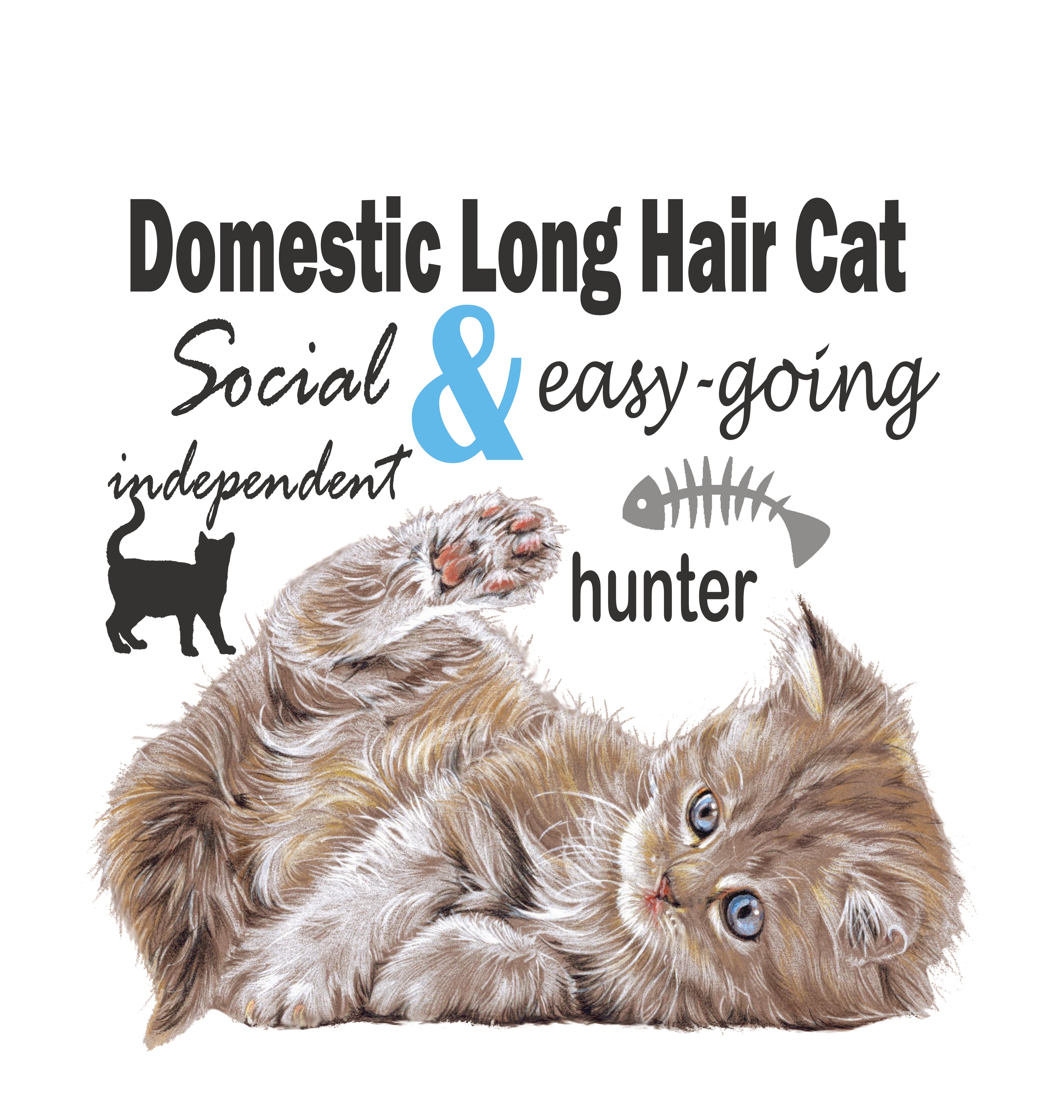 Einkaufstasche aus Baumwolle mit Aufdruck – Hauskatze (Langhaar)