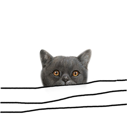 Katoenen winkelshopper met bedrukking - Cat looking around