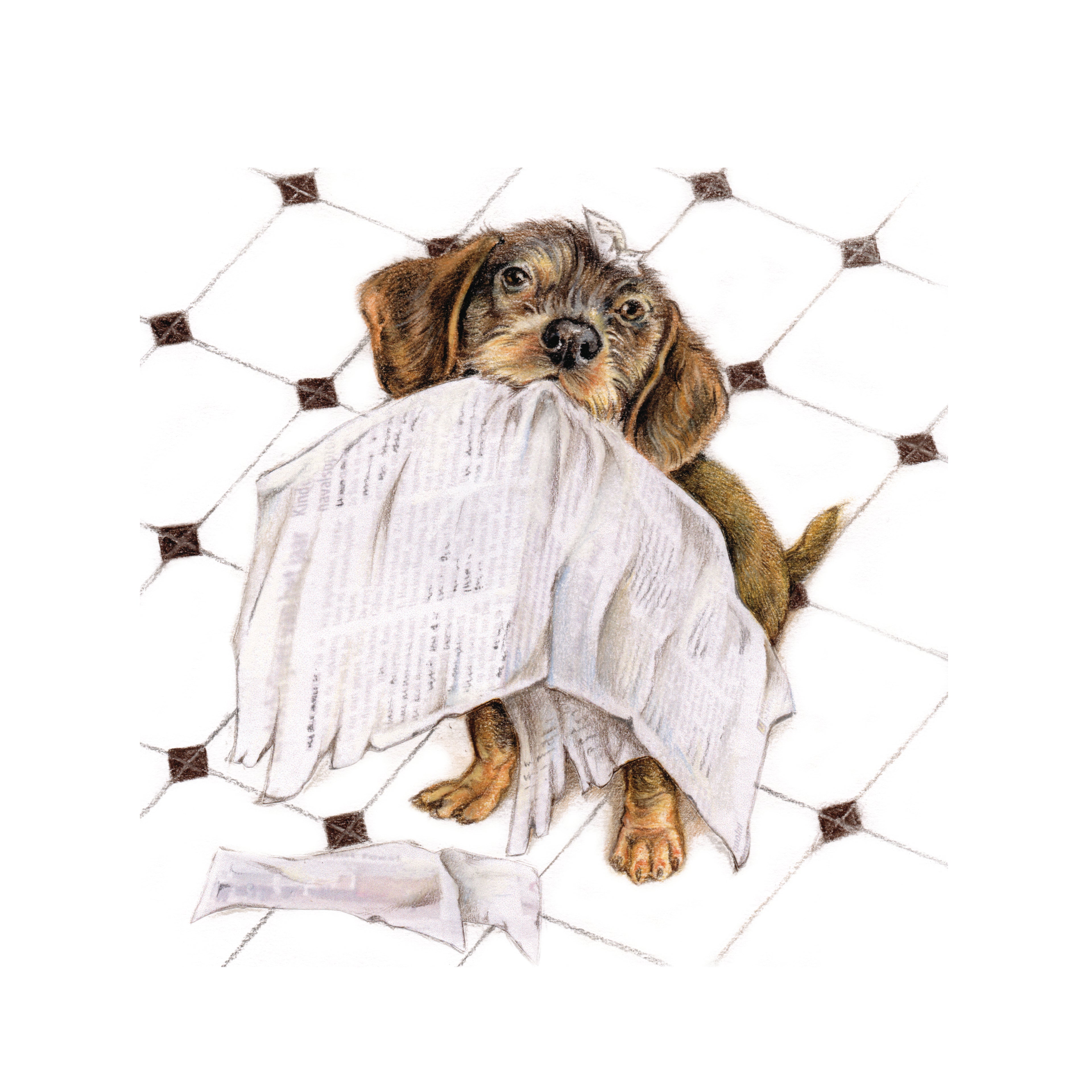 Katoenen winkel/bigshopper - Teckel met krant in mond