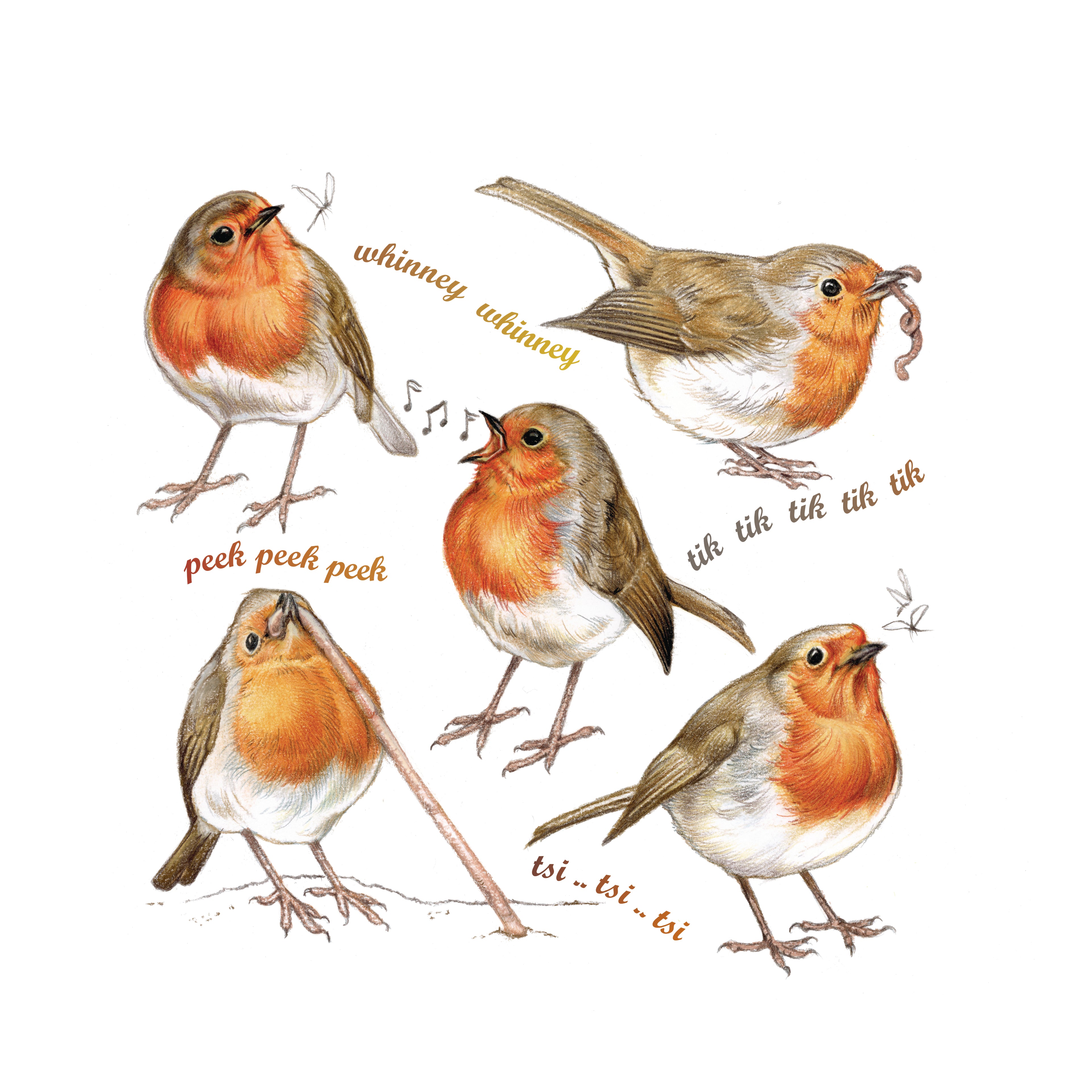 Katoenen winkel/bigshopper - Roodborstjes collage