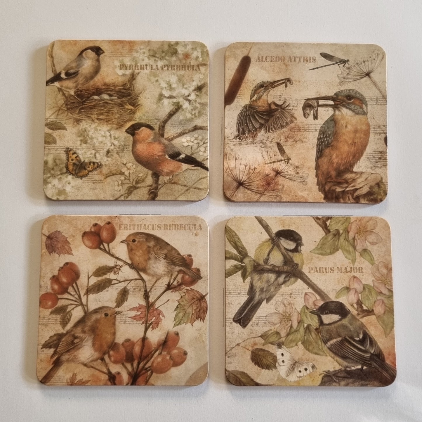 Set van 4 onderzetters - Vogelserie