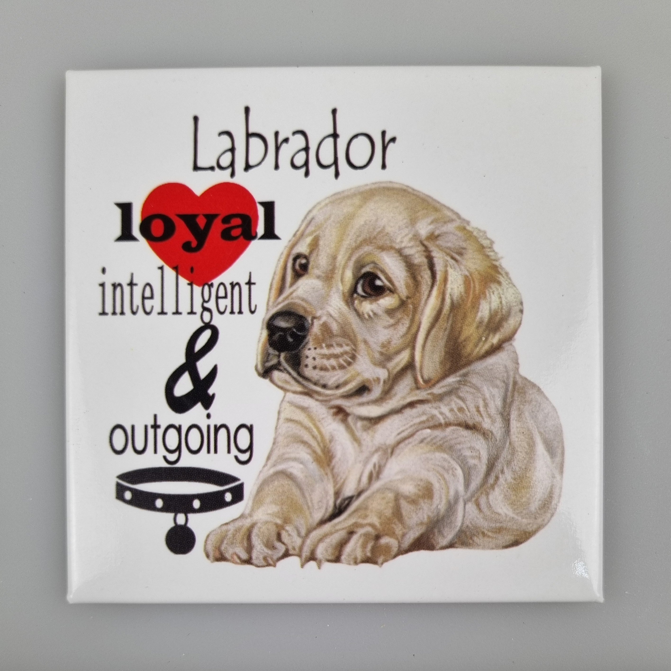 Koelkastmagneet - Blonde Labrador met tekst