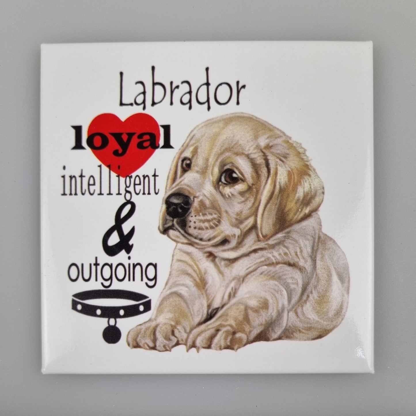 Koelkastmagneet - Blonde Labrador met tekst