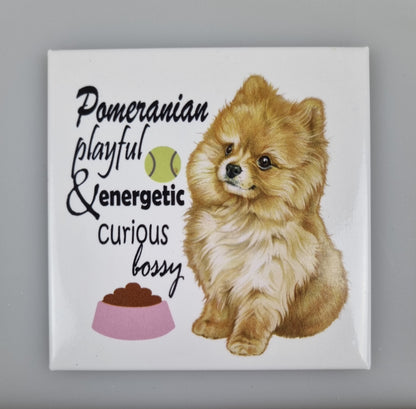 Koelkastmagneet - Pomeriaan met tekst