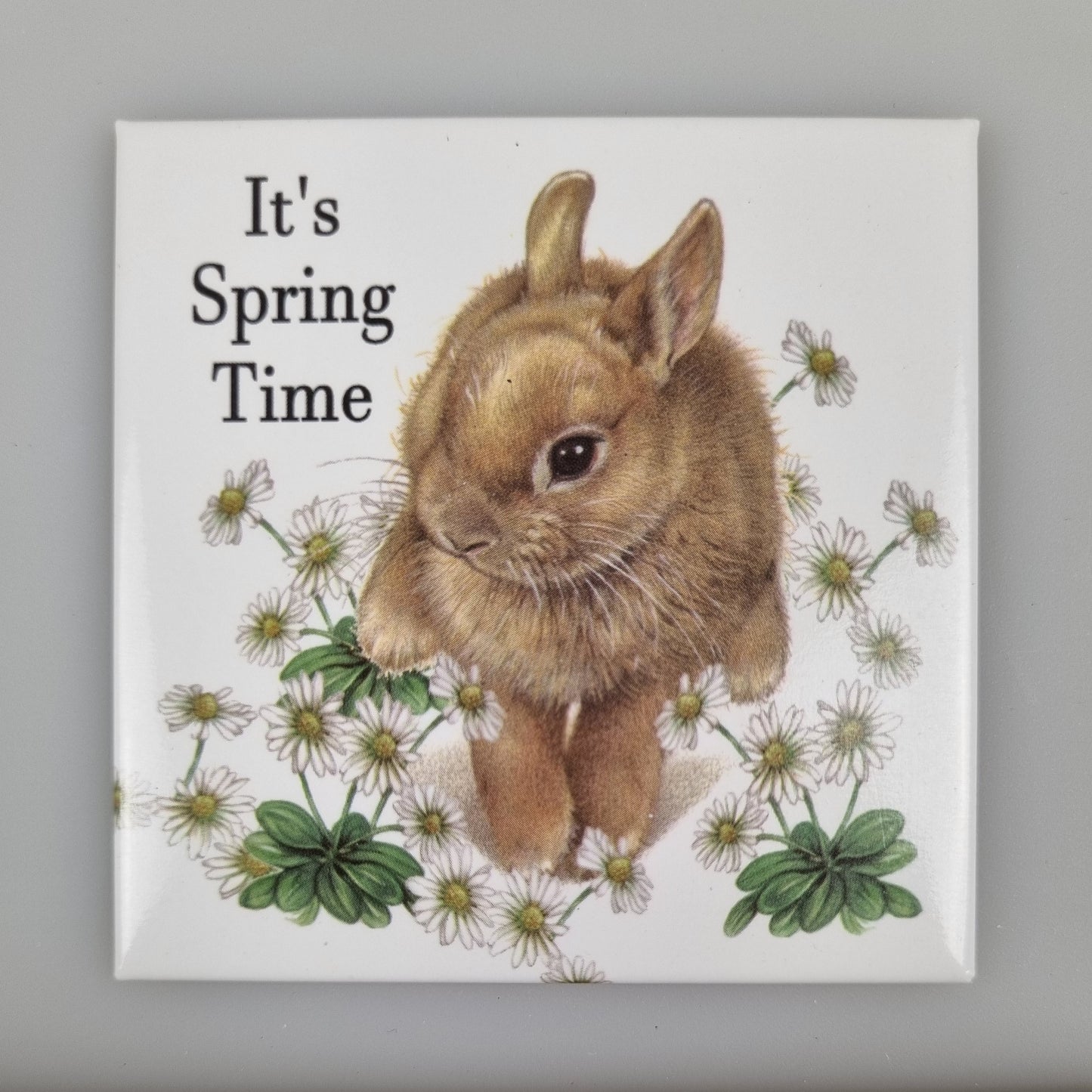 Koelkastmagneet - Konijn "It's Spring Time