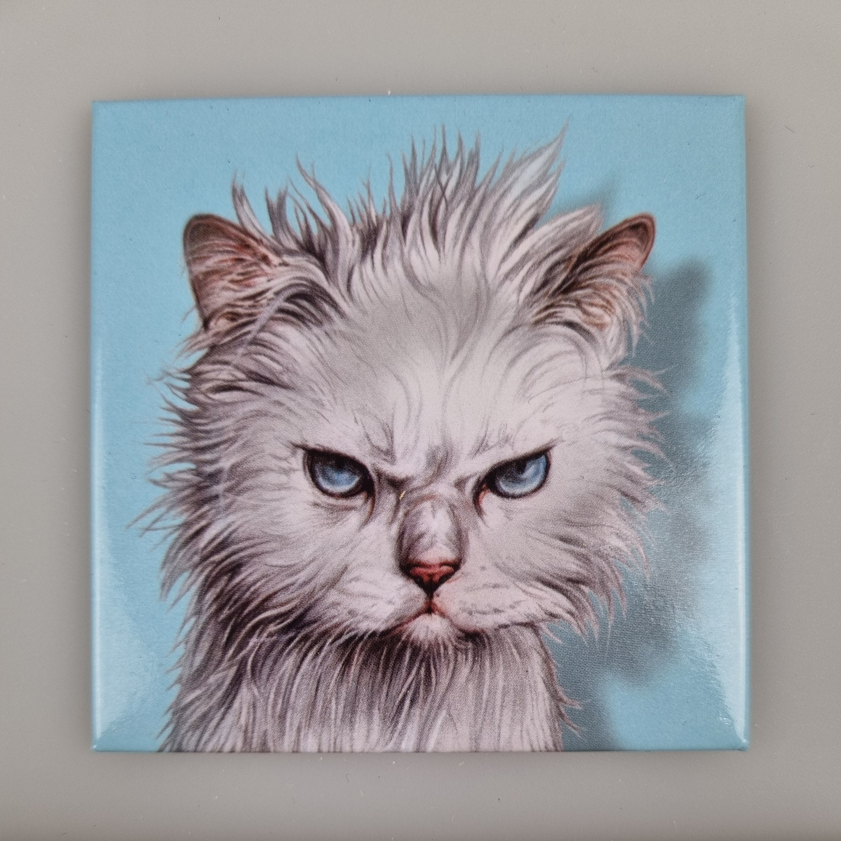 Koelkastmagneet - Kattenkop