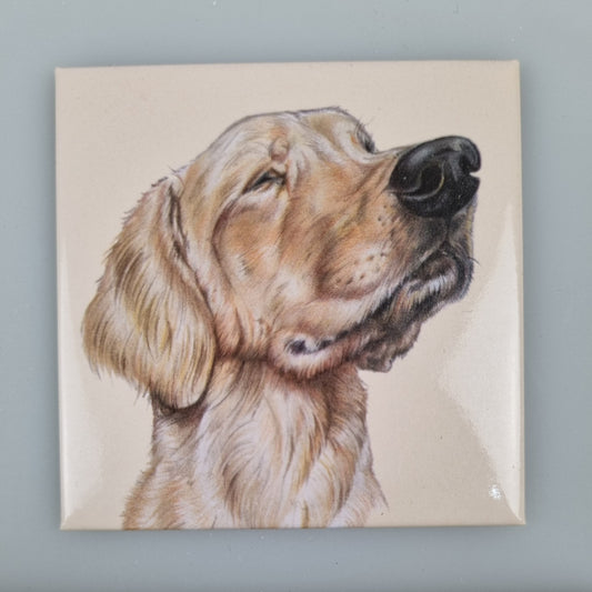 Koelkastmagneet - Labrador Retriever