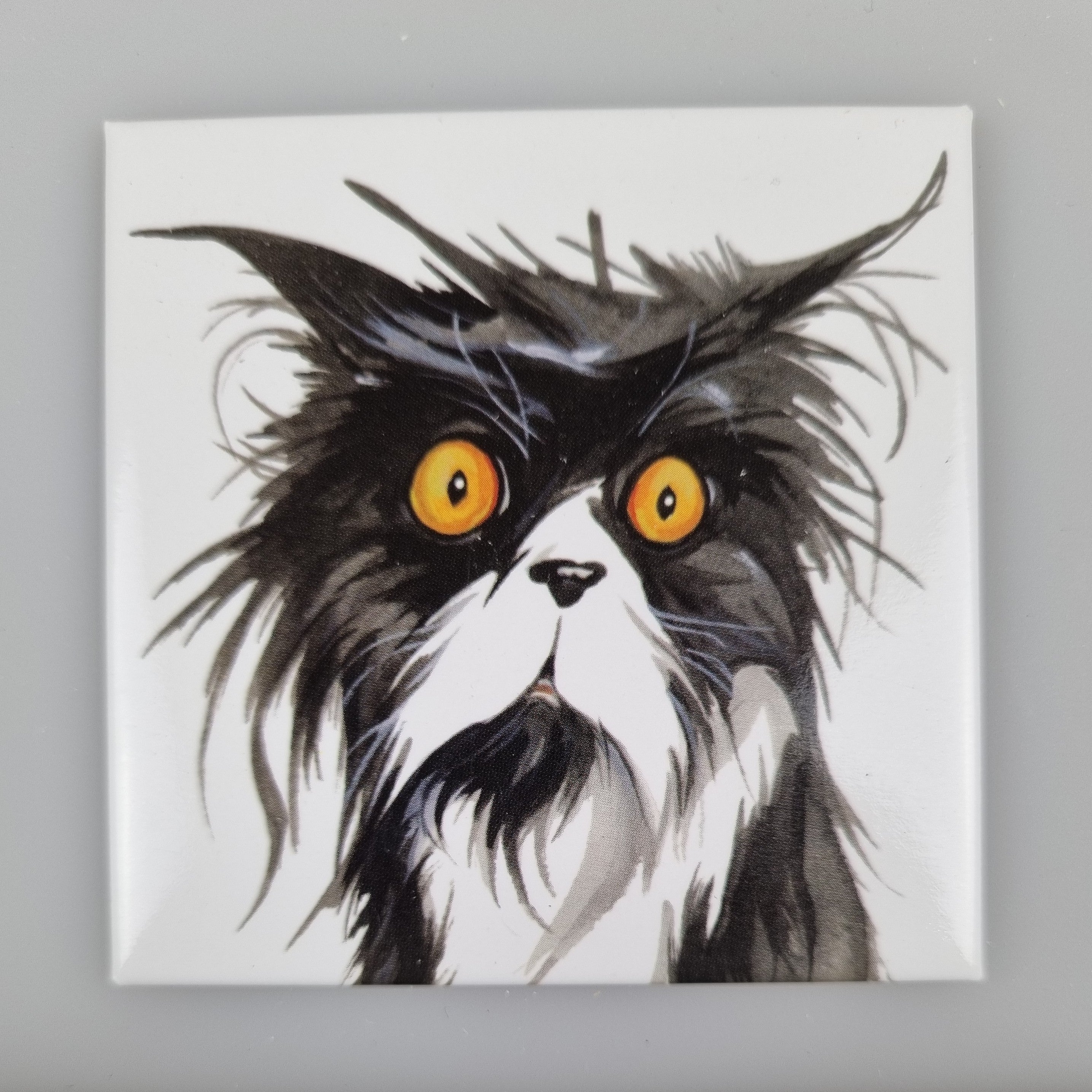 Koelkastmagneet - Bad Hair Day - Kat