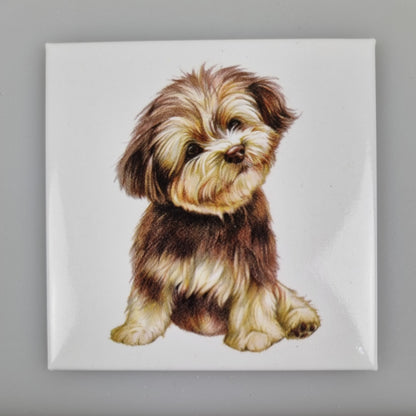 Koelkastmagneet - Hondje Boomer