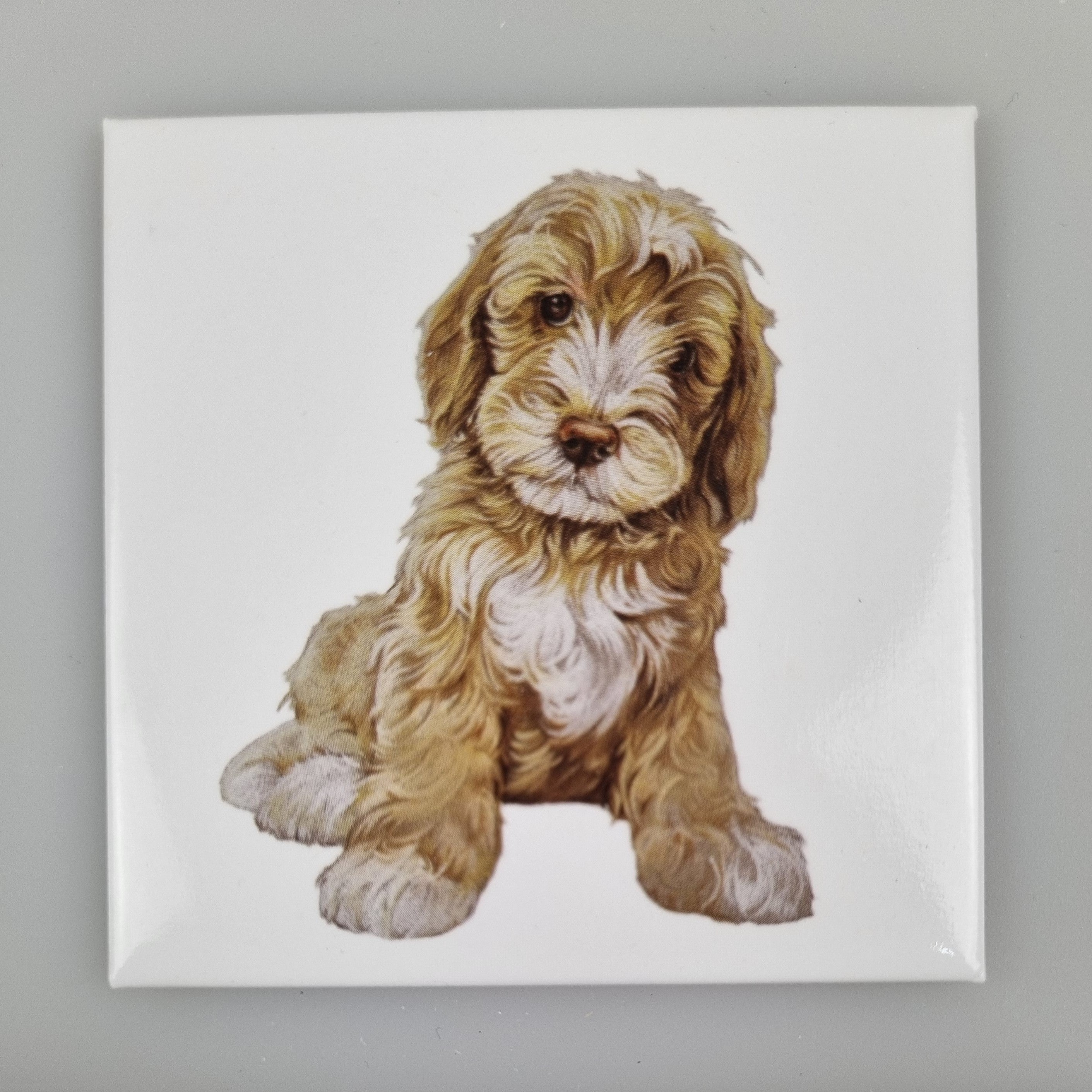 Koelkastmagneet - Labradoodle
