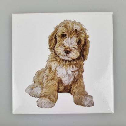 Koelkastmagneet - Labradoodle