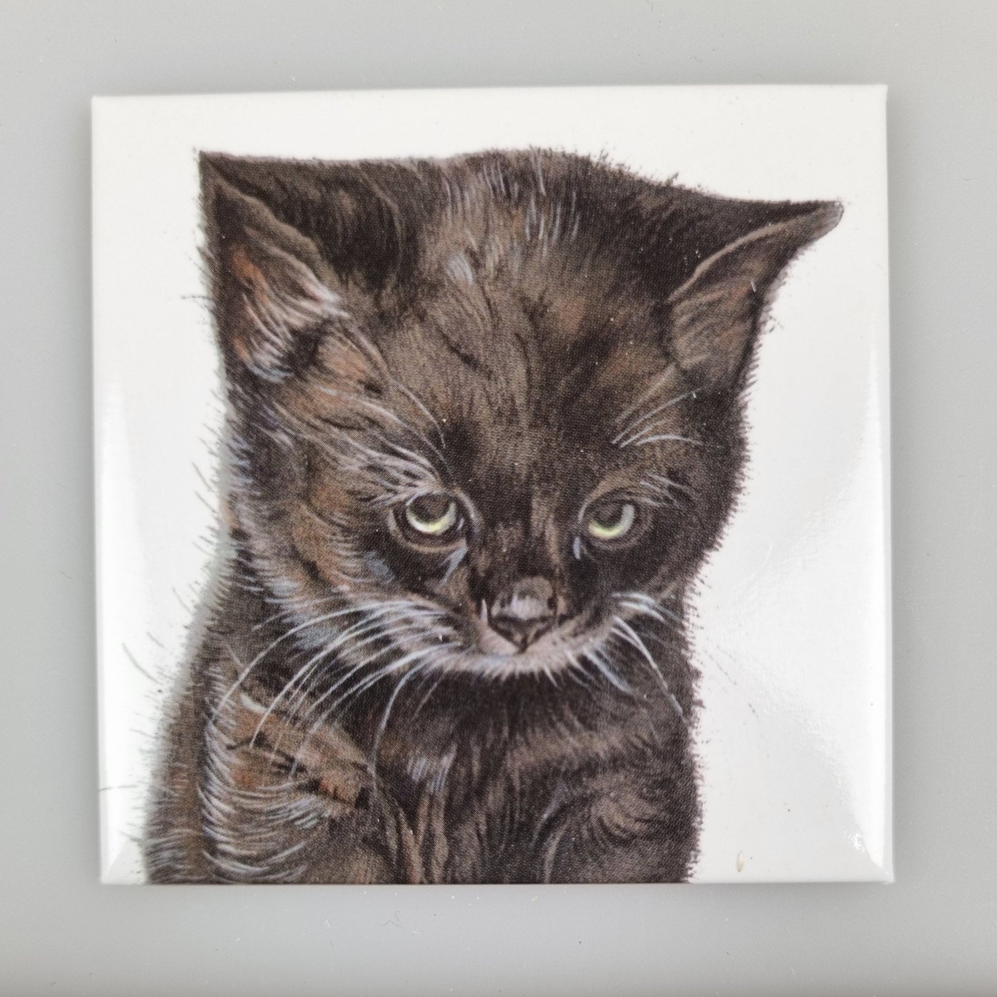 Koelkastmagneet - Zwarte Kat